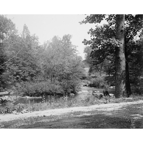 A Scene At Rock Creek Park, Washington, D.C., circa 1918-1920