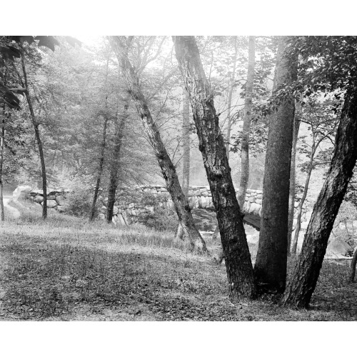 Stone Bridge At Rock Creek Park, Washington, D.C., View 1