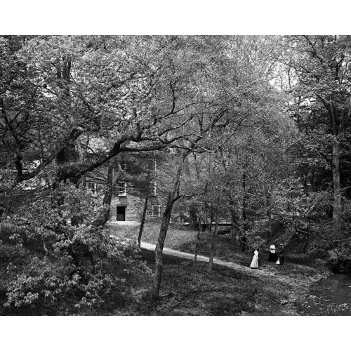 Walking Path At Rock Creek Park, Washington, D.C., circa 1918-1920
