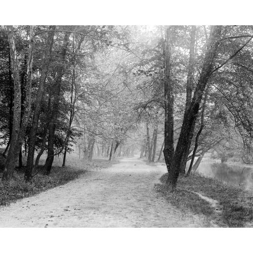 Walking Path At Rock Creek Park, Washington, D.C., circa 1918-1920