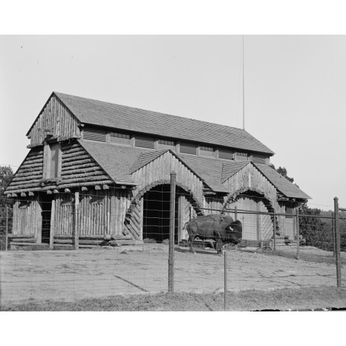 Buffalo House Zoo Park, circa 1918