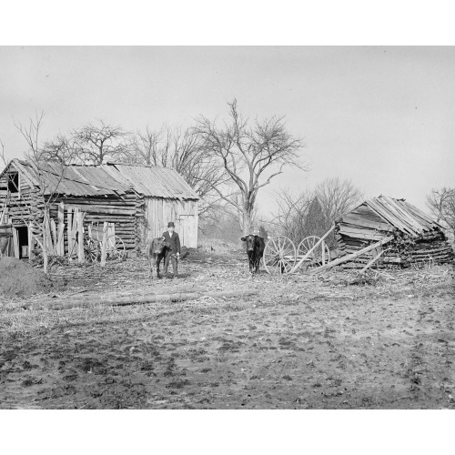Old House In Virginia, circa 1918, View 3