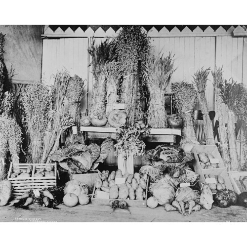 Alaskan Produce, circa 1918, View 2