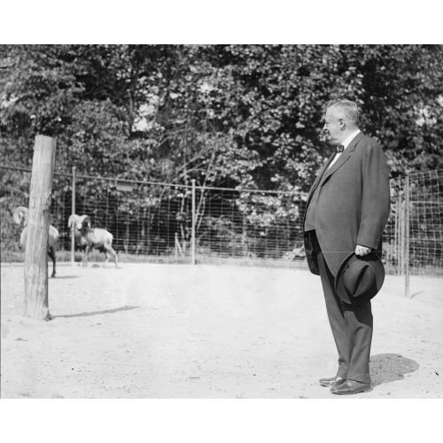 Boise Pemrose i.e., Boies Penrose At Zoo, View 1