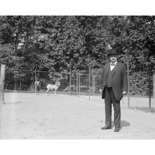 Boise Pemrose i.e., Boies Penrose At Zoo, View 3