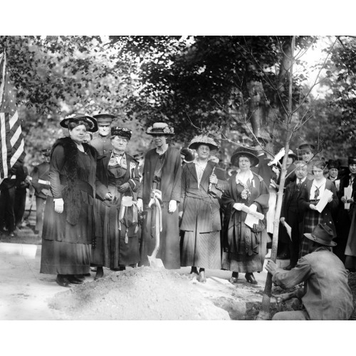 Tree Planting, Fed. Of Women's Clubs, 5/5/20