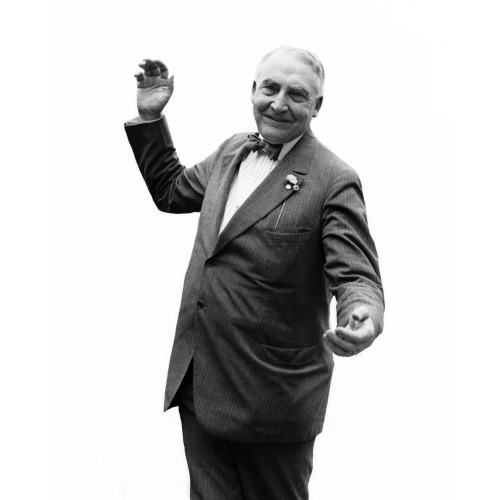 Warren G. Harding, 1920