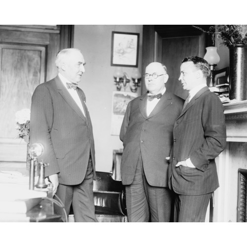 Warren G. Harding, Wm. Boyce Thompson & Theo. Roosevelt, Jr.