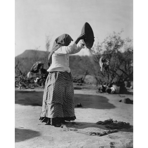 Papago Cleaning Wheat (Winnowing Wheat), 1907