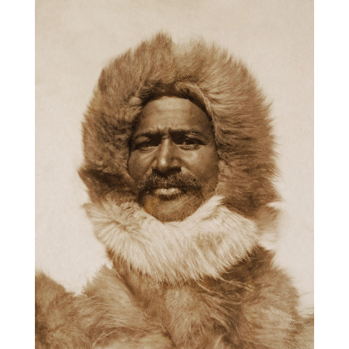 Matthew Alexander Henson, Head-And-Shoulders Portrait, Facing Front, Wearing Fur Hat And Fur...