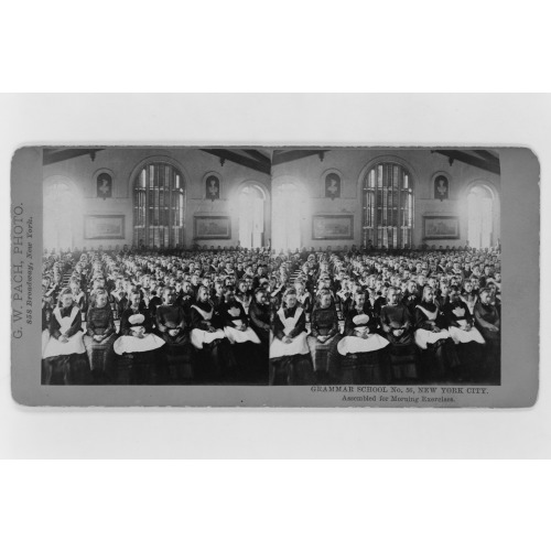 Grammar School, No. 56, New York City--Assembled For Morning Exercises, 1870