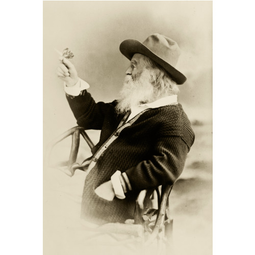Walt Whitman, Half-Length Portrait, Seated, Facing Left, Wearing Hat And Sweater, Holding...