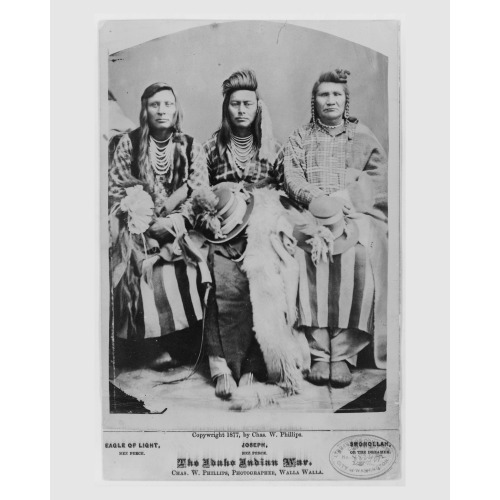 The Idaho Indian War, 1877