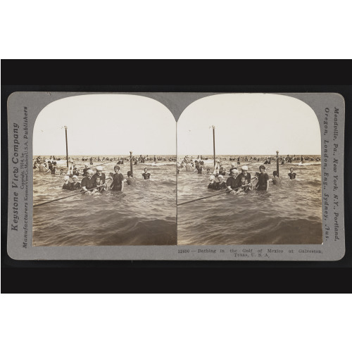 Bathing In The Gulf Of Mexico At Galveston, Texas USA, 1914