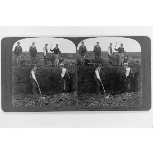 Cutting And Carting Turf At A Bog Near Kiltoom, County Roscommon, 1903