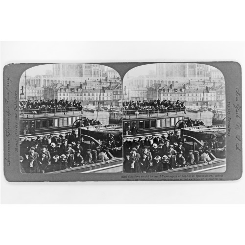 Goodbye To Old Ireland!--Passengers On Tender At Queenstown, Going Out To An Ocean-Liner, 1903