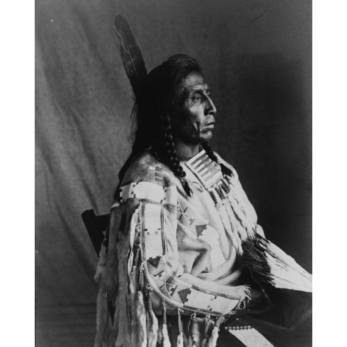 Medicine Crow, 1904