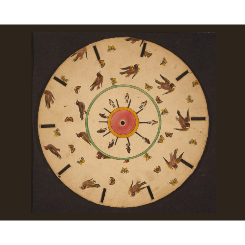 Optical Illusion Disc With Birds, Butterflies, And A Man Jumping, 1833