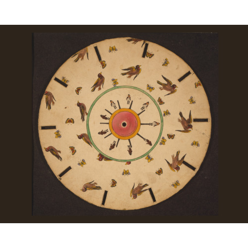 Optical Illusion Disc With Birds, Butterflies, And A Man Jumping, 1833