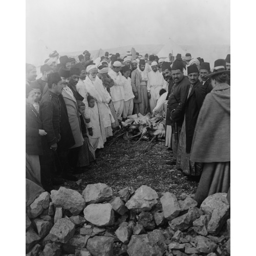 Palestine - Mt. Gerizin Ie. Gerizim--Feast Of The Passover, circa 1880