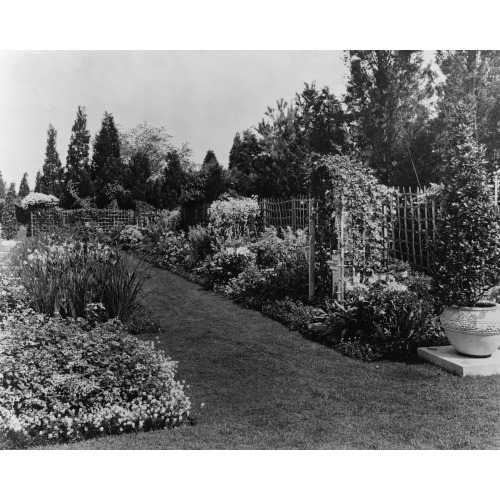 Beacon Hill House, Arthur Curtiss James House, Newport, Rhode Island. Blue Garden Flower Border...