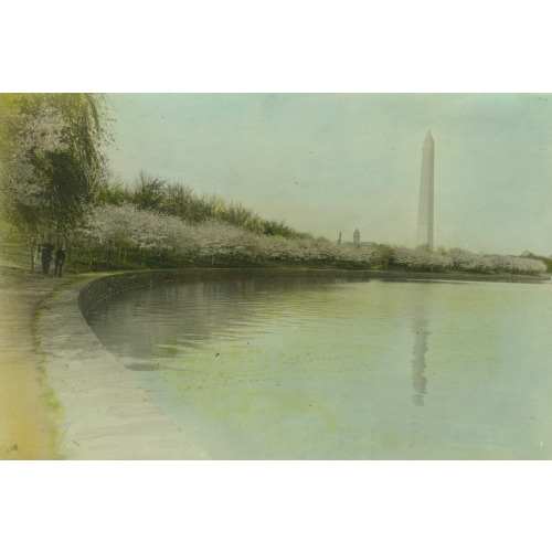 View From Tidal Basin, With Cherry Blossoms, And Washington Monument In Background, Washington...