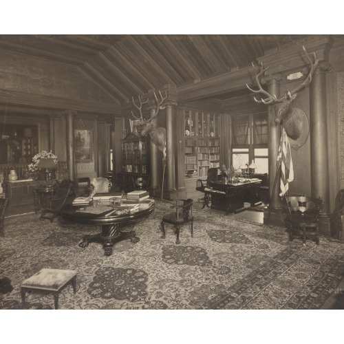 Library(?) At Theodore Roosevelt's Home, Sagamore Hill, Long Island, With Two Elk Heads On Wall...
