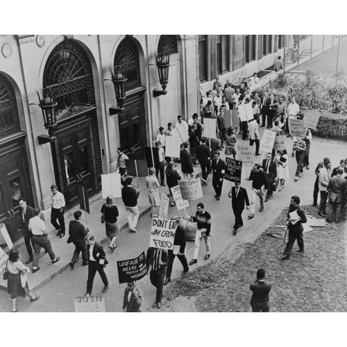 Congress Of Racial Equality Members Carry Picket Signs, 1964