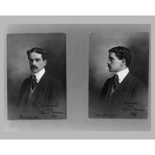 Two Head-And-Shoulders Portraits Of William Kissam Vanderbilt II, Facing Slightly Left And...