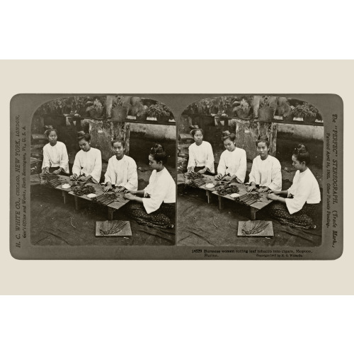 Burmese Women Rolling Leaf Tobacco Into Cigars, Mopoon, Burma, 1907