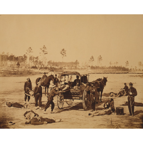 Ambulance Drill At Headquarters Army Of Potomac, Near Brandy Station, Va., March, 1864