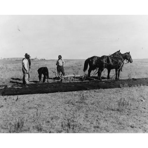 Representing John Christiansen Doing His First Brakeing Sic On His Homestead In May 1883