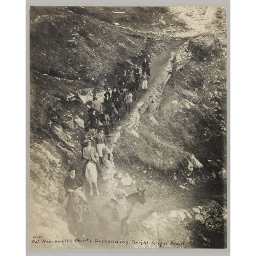 Col. Roosevelt's Party Descending Bright Angel Trail, 1911