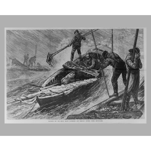 Favorite Bed For Small Boats - Gathering And Dressing Oysters Under Difficulties, 1879