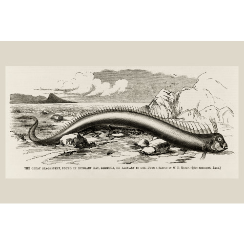 The Great Sea-Serpent, Found In Hungary Bay, Bermuda, On January 22, 1860