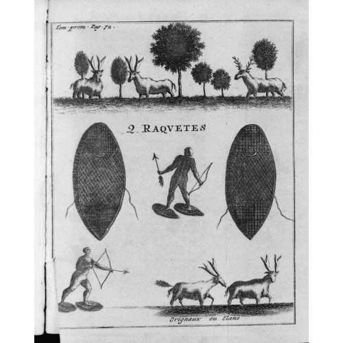 Raquetes, 1703
