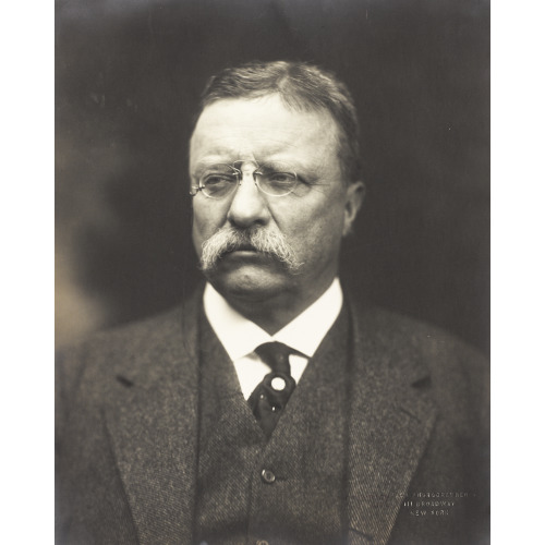 Theodore Roosevelt, Bust Portrait, Facing Front, 1915
