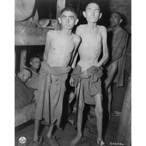 These Inmates Of The Amphing i.e., Ampfing Concentration Camp In Germany Were Recently Liberated...