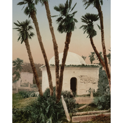 The Cemetery, With Chapel, Algiers, Algeria, 1899