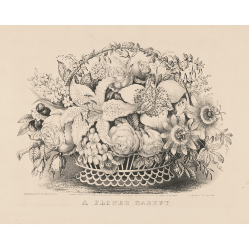 A Flower Basket, 1874