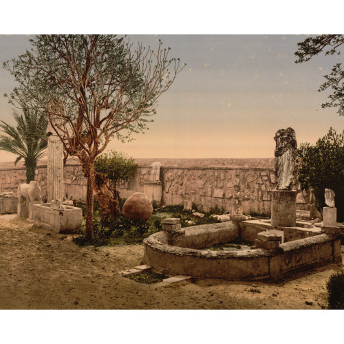Museum Garden, Carthage, Tunisia, 1899
