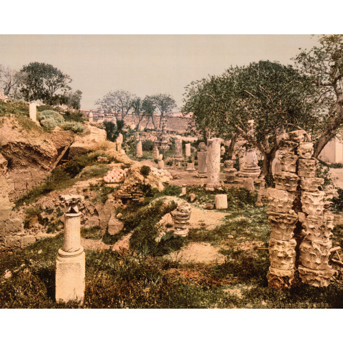 Museum Garden, II, Carthage, Tunisia, 1899