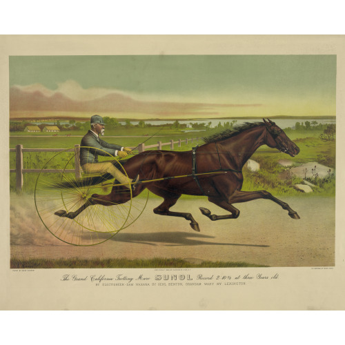 The Grand California Trotting Mare Sunol Record 2:10 1/2 At Three Years Old: By Electioneer -...