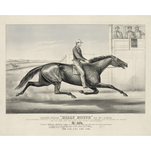 Pacing Horse Billy Boyce Of St. Louis: As He Appeared At Buffalo New York Aug 1st 1868 Pacing...