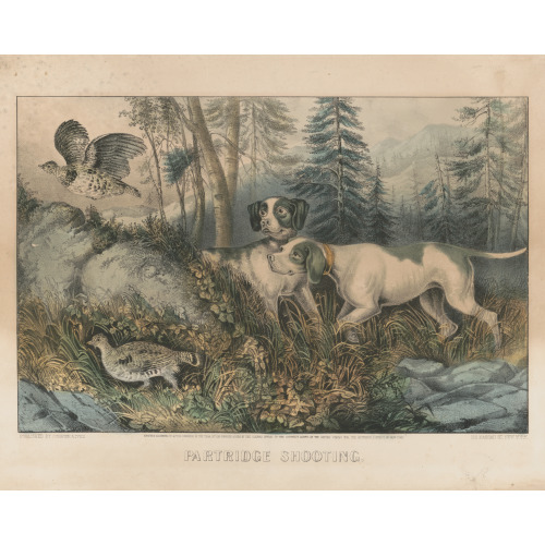 Partridge Shooting, 1870