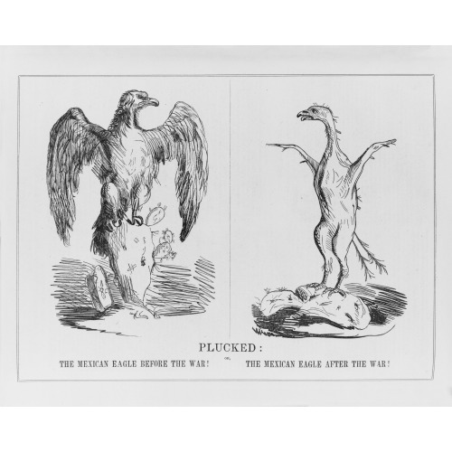 Plucked, The Mexican Eagle Before The War, 1847