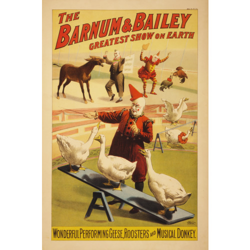 Barnum & Bailey Circus, Geese, Roosters, Musical Donkey, 1900
