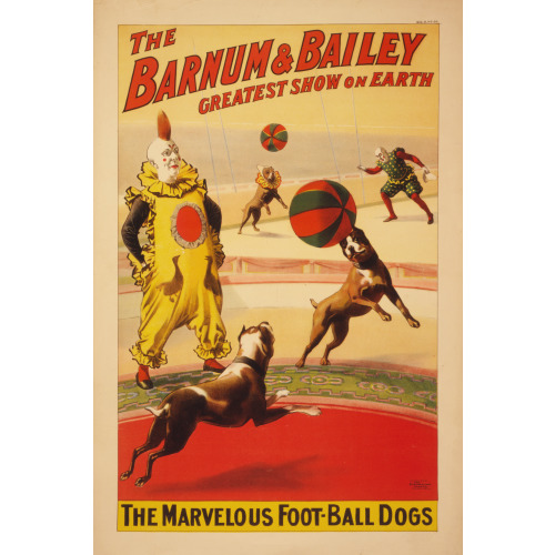 Barnum & Bailey. The Marvelous Foot-Ball Dogs, 1900