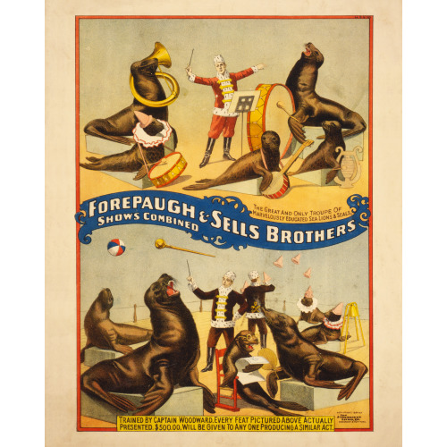 Forepaugh & Sells Brothers Circus, 1899