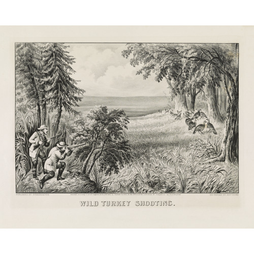 Wild Turkey Shooting, 1871